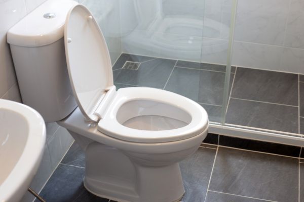 Cost of Toilet Replacement in Arvada