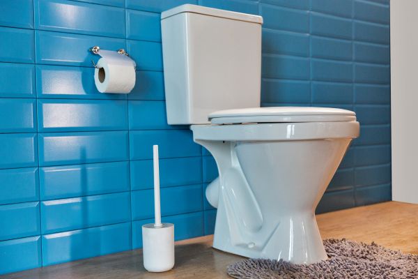 Cost of Toilet Tank Repair in Arvada