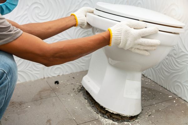 Cost of Toilet Removal in Arvada